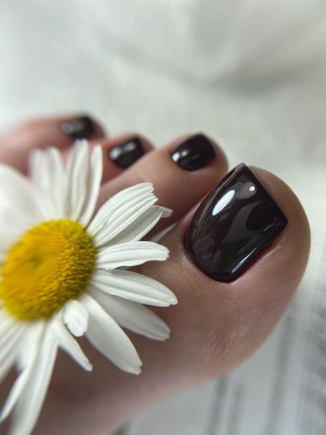 Pedicure Photoshoot Ideas, Pedicure Pictures Photo Ideas, Pedicure Photos, Pedicure Photography, Pedicure Pictures, Nail Art Photos, Toe Nail Color, Hard Nails, Summer Toe Nails