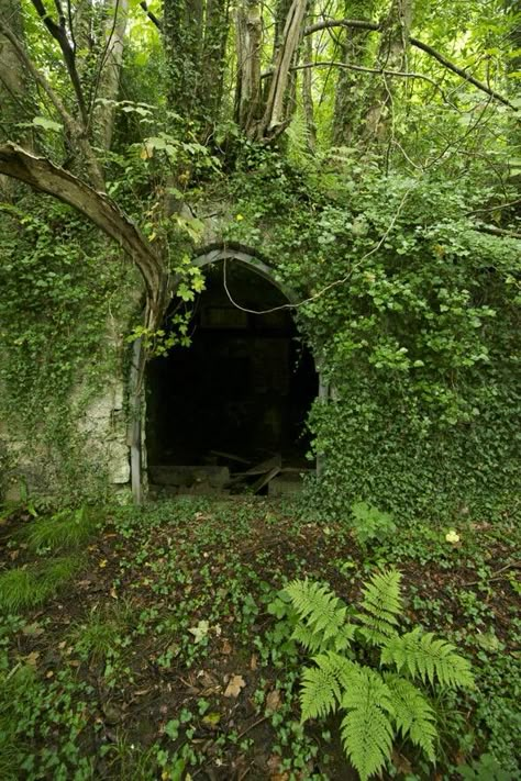 Secret Doorway, North Wales, Nature Aesthetic, Magical Places, Pretty Places, Green Aesthetic, Fantasy Landscape, Abandoned Places, Fantasy World