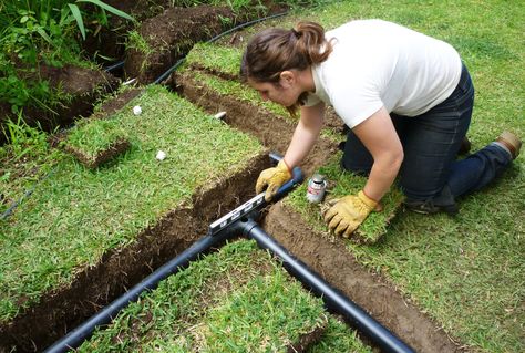 Shades of Grey(water): Recycle Your Water to Combat Drought—Here’s How! Grey Water Recycling, Watering The Garden, Rain Barrel System, Water Recycling, Grey Water System, Water From Air, Water Harvesting, Rain Barrels, Rainwater Harvesting