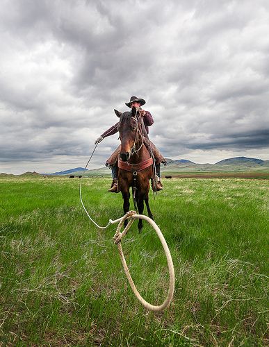 Cowboy Photography, Calf Roping, Gooseberry Patch, Cowboy Pictures, Real Cowboys, Wilde Westen, Western Life, Western Riding, Cowboys And Indians