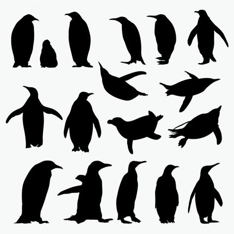 Penguin Illustration Design, Penguin Silhouette, Collage Ephemera, Dove Tattoo Design, Minimal Shirt Design, Penguin Illustration, Penguin Logo, Christmas Window Painting, Penguin Drawing