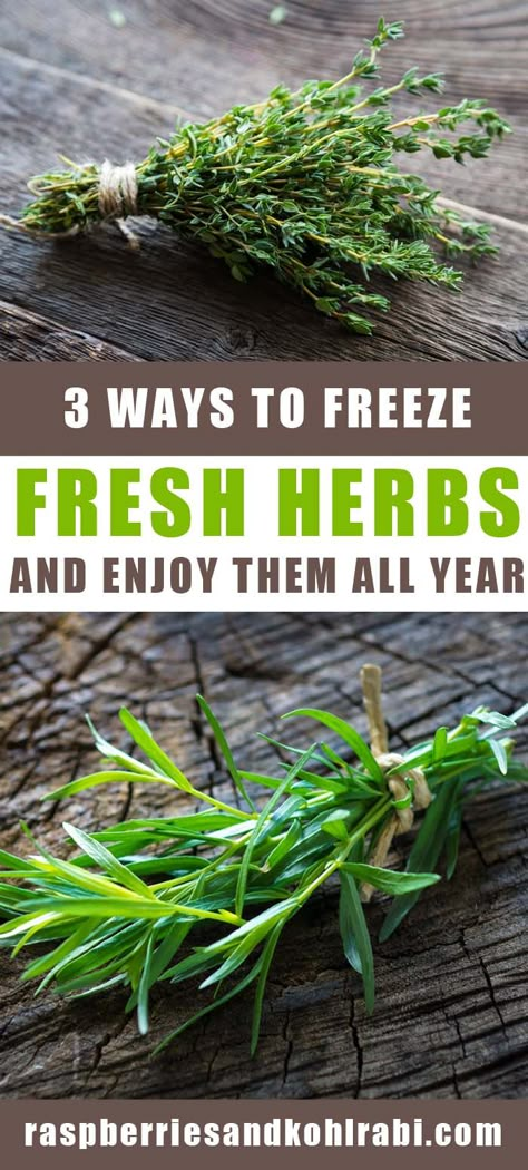 Can You Freeze Fresh Rosemary, Storing Fresh Herbs Freezers, Freezing Fresh Thyme, Freezing Rosemary Fresh Herbs, How To Freeze Fresh Thyme, How To Freeze Fresh Oregano, How To Freeze Rosemary, What To Do With Fresh Thyme, How To Freeze Fresh Rosemary