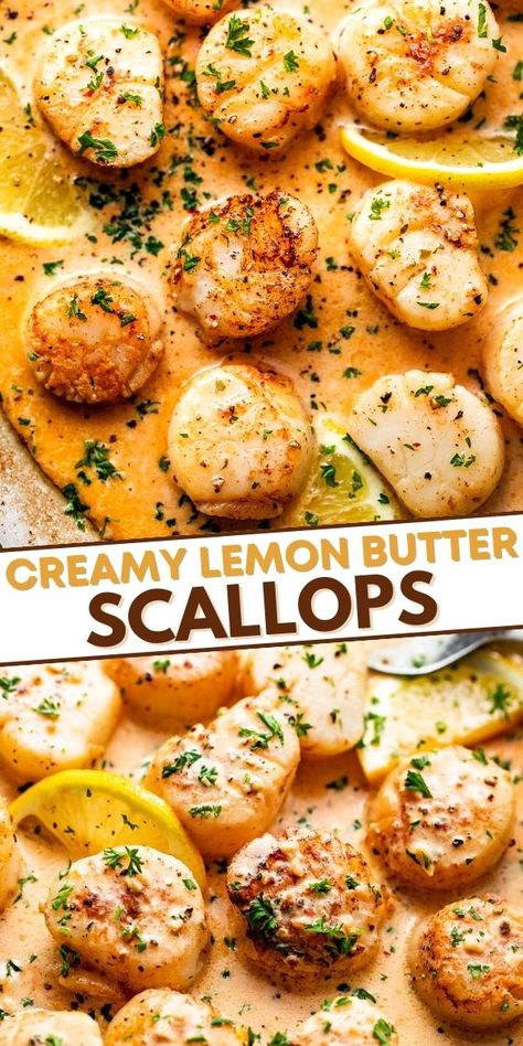 Buttered Scallops, Scallop Sauce Recipes, Sauteed Scallops Recipes, Scallops Dinner Ideas Healthy, Sautéed Scallops, Steak And Scallops, Steak And Scallops Recipes, Baked Scallop Recipes, Seared Scallops