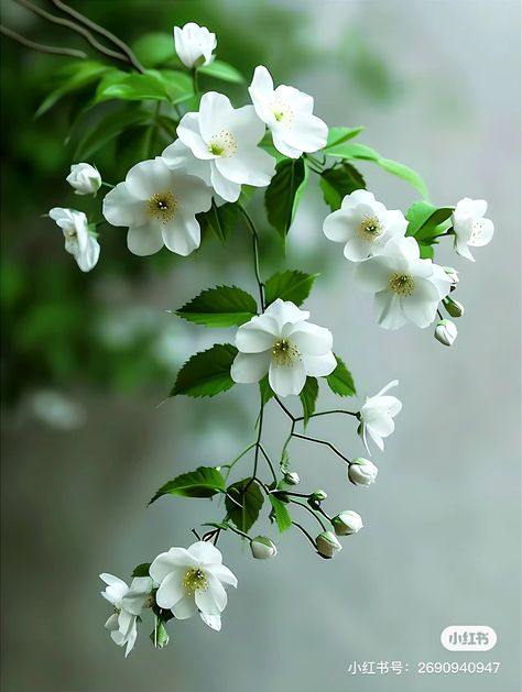 Pretty Flowers Photography, File Decoration Ideas, Lovely Good Morning Images, Iphone Wallpaper Classy, Cow Pictures, Diy Plant Hanger, Beautiful Wallpaper For Phone, Wallpaper Nature Flowers, Beautiful Flowers Pictures