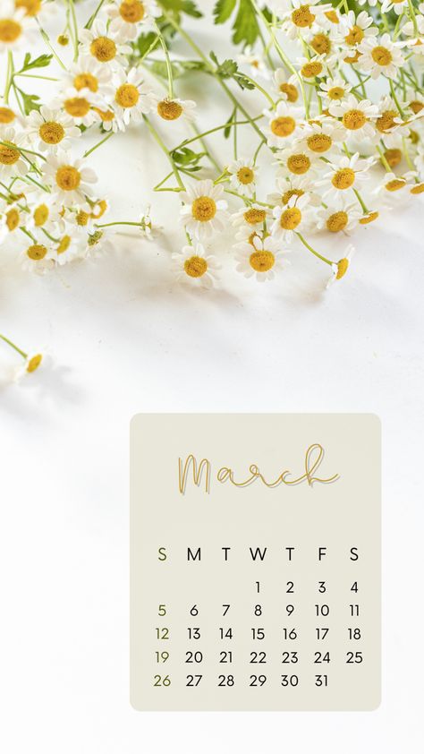 March Aesthetic Calendar, March 2023 Calendar Wallpaper, 2023 Wallpaper Calendar, March Backgrounds, March Wallpaper, 2023 Wallpaper, Calendar Background, Table Calendar, Wallpaper 2023