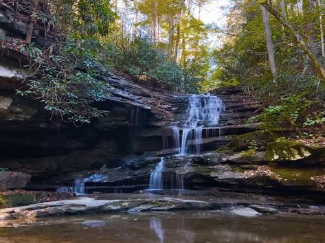 Hikers can view 29 waterfalls in West Virginia along the nation's first statewide waterfall trail in the youngest national park, New River Gorge. West Virginia Waterfall Trail, West Virginia Waterfalls, Glade Creek Grist Mill, Virginia Waterfalls, Blackwater Falls State Park, Monongahela National Forest, Blackwater Falls, Cascade Falls, Waterfall Trail