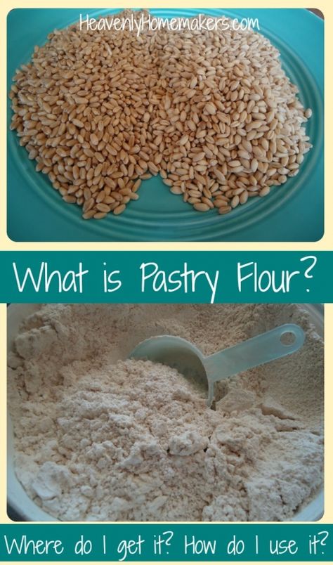 What Is Pastry Flour, Low Sugar Cake Recipe, Flour Types, Whole Wheat Pastry Flour, Make Your Own Flour, Homemade Staples, Low Sugar Cakes, Wheat Flour Recipes, Healthy Breads