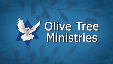 Olive Tree Prophecy Update: The “Times of the Jews: They’re Almost Here!” Prophecy Update, Bible Truths, Bible Prophecy, Bible Truth, Olive Tree, Bible