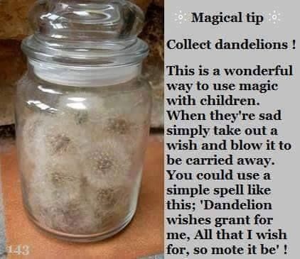 Wiccan Witch, Eclectic Witch, Magick Spells, Wiccan Spell Book, Dandelion Wish, Witchcraft Spell Books, Witch Spell Book, Witchcraft For Beginners, Baby Witch