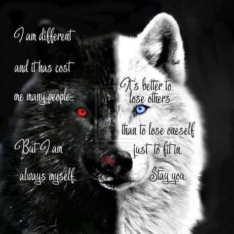 Check Your Attitude, Quotes Warrior, Lone Wolf Quotes, I Am Different, Wolf Quotes, Warrior Quotes, Lone Wolf, Never Change, The Door