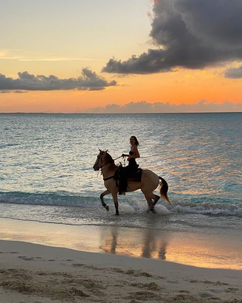 Horse Riding Aesthetic, Foto Cowgirl, Horse Aesthetic, Horse Life, Horse Pictures, Summer Dream, Horse Love, Horse Girl, A Horse