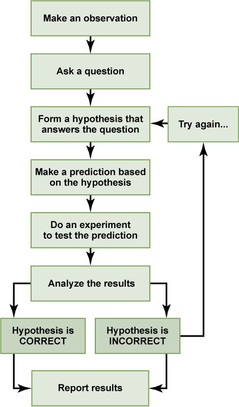 The Scientific Method | Introduction to Psychology Studying Plan, Drawing Psychology, Human Behavior Psychology Facts, Psychology Drawing, Research Paper Tips, Basic Psychology, Counselling Theories, Classical Education Homeschool, Data Collection Methods