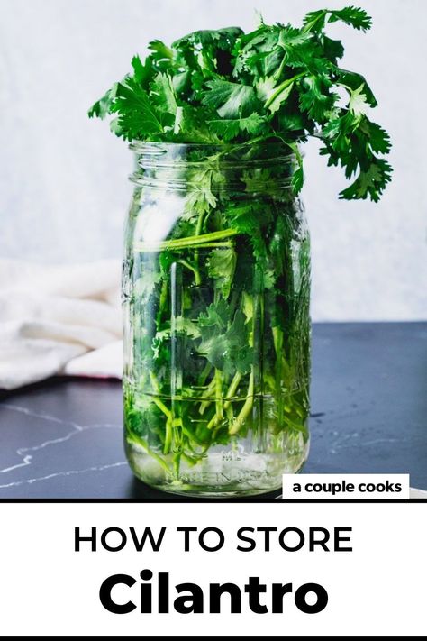 Keeping Cilantro Fresh How To Store, How To Keep Cilantro Fresh, Store Cilantro, Storing Basil, Store Fresh Herbs, Creamy Cilantro Dressing, Cilantro Recipes, A Couple Cooks, Recipe Hacks