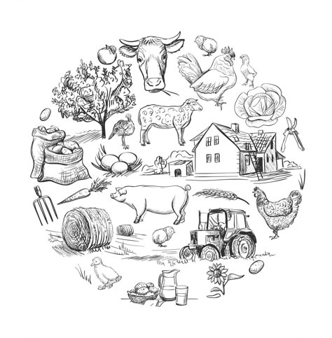 Vintage Farm Illustration, Homestead Tattoo, Farm Drawing Easy, Farm Animals Drawing, Farm Sketch, Homestead Logo, Farm Tattoo, Farm Drawing, Farm Illustration