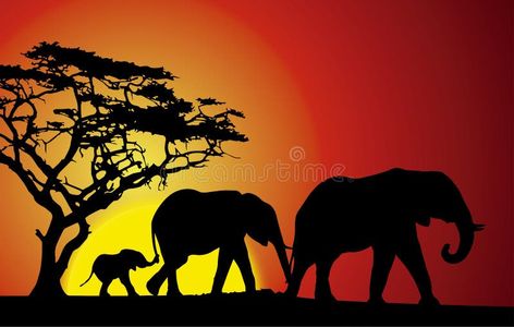 Africa Illustration, Elephant Family Silhouette, Elephant Family Art, Elephant Family Photography, Family Walking, Mother And Baby Elephant, Elephants In Africa, Elephant Family, Stock Photography