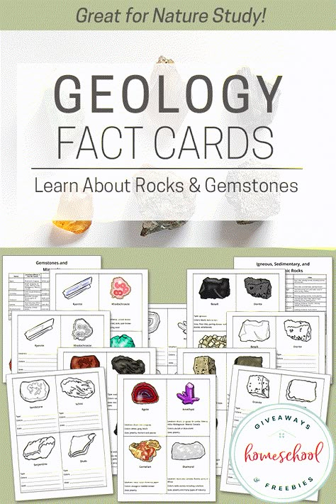 Anatomy Resources, Geology Activities, Nature Anatomy, Organized Homeschool, Types Of Rocks, Different Types Of Rocks, Homeschool Binder, Different Gemstones, Homeschool Freebies