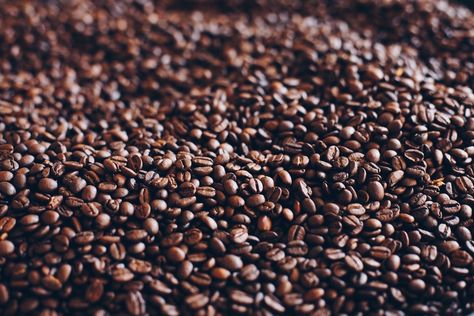 Types Of Coffee Beans, Organic Coffee Beans, Robusta Coffee, Coffee Origin, Italian Roast, Ethiopian Coffee, Coffee Farm, Coffee Plant, Roasted Coffee Beans