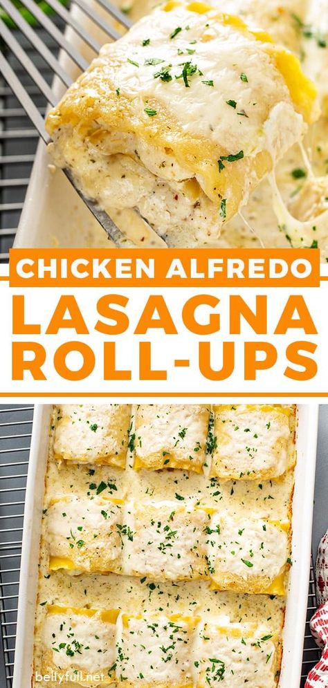 Lasagna Roll Ups With Ricotta, Chicken Alfredo Lasagna Rolls, Alfredo Lasagna Recipe, Alfredo Lasagna Rolls, Chicken Lasagna Roll Ups, Chicken Alfredo Lasagna Recipe, Chicken Lasagna Rolls, Different Types Of Cheese, Chicken Alfredo Lasagna