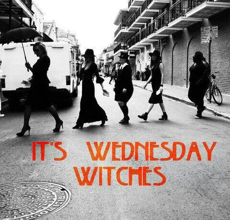 On Wednesday we wear black American Horror Story 3, Ahs Coven, American Horror Story Coven, Southern Gothic, Movies And Series, Witchy Woman, Horror Story, Film Serie, American Horror