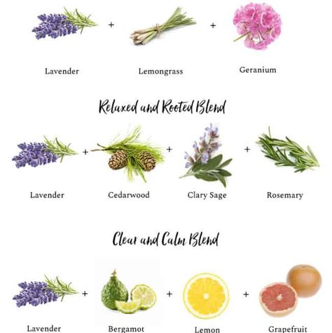 Aromatherapy Recipes + Archives | Hello Glow Lavender Diffuser, Hello Glow, Calming Essential Oils, Essential Oils Collection, Aromatherapy Recipes, Chamomile Oil, Rosemary Oil, Earthy Scent, Clary Sage