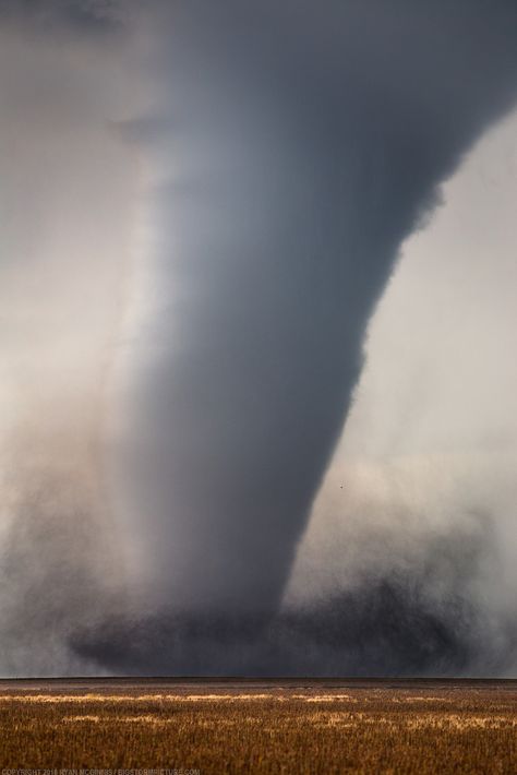 https://flic.kr/p/JhXGiE | Tornado! | Large tornado near Dodge City, Kansas, May 24, 2016. Storm Picture, Kansas Tornado, Dodge City Kansas, Tornado Pictures, Oklahoma Tornado, Job Goals, Riders On The Storm, Storm Photography, Dodge City