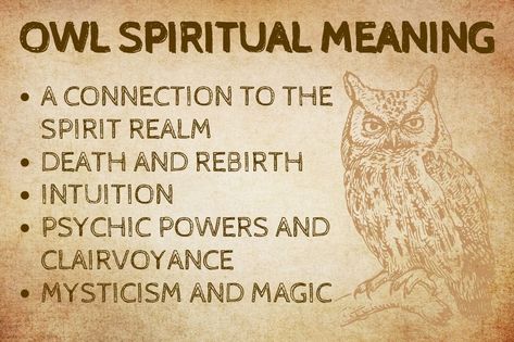 Seeing Owl Spiritual Meaning, Owl Meaning Spiritual, Owl Spiritual Meaning, Owl Meaning, Spirit Animal Test, Owl Symbol, Spirit Animal Quiz, Owl Symbolism, Animal Quiz