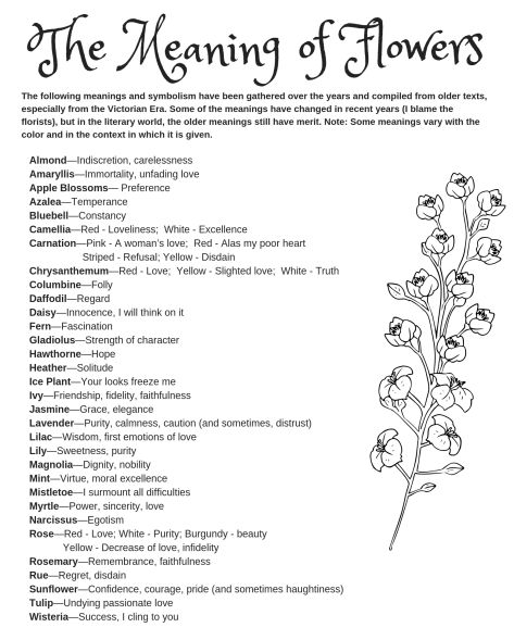 Writing: Symbolism of Flowers - Robin Woods Symbolism Of Flowers, Symbolism In Writing, Symbolism Writing, Types Of Flowers And Meanings, Writing Symbols, Flowers List, Plant Symbolism, Flower Symbolism, Flower Language