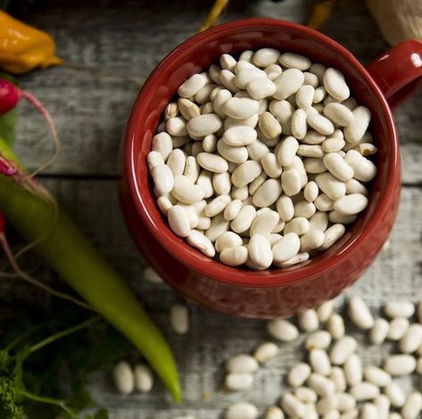 Here’s a fun fact we have for you! Did you know that besides being used in the kitchen as an ingredient, beans can also support your daily nutritional needs? 

Let’s get you started with Piping Rock’s White Kidney Bean, 6000 mg, 90 Quick Release Capsules. Make an effort to support your health today! Protein Shop, Sport Diet, Turmeric Essential Oil, Brain Supplements, Vitamin Packs, White Kidney Beans, Liver Support, Essential Oil Beauty, Gummy Vitamins