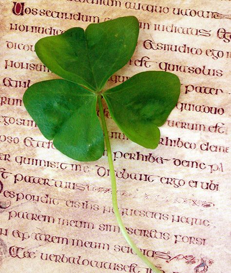 St. Patrick's Day Shamrock Aesthetic, Tyche Aesthetic, Irish Aesthetic, Irish Country, Irish Eyes Are Smiling, Irish Cottage, Irish Roots, Irish Pride, Irish Eyes