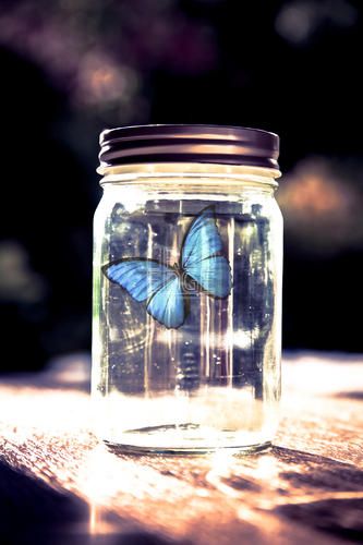 Butterfly In Jar, Jar Image, Blue Inspiration, Wallpaper Designs, Pretty Lights, Butterfly Art, Blue Butterfly, Mason Jar Mug, Colorful Wallpaper