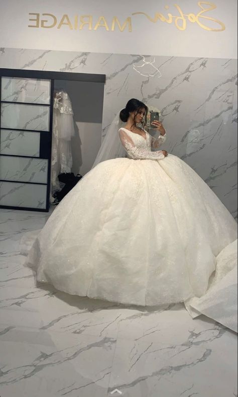 Wedding Dress Big, Poofy Dress, Drawing Designs, Big Wedding Dresses, Rose Marie, Disney Princess Dresses, Pipe Dream, Quince Dresses, Big Wedding