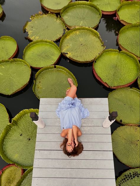 Giant Lily Pads, Idea For Photo, The Cafe, Lily Pads, Phuket, Couple Posing, Travel Pictures, Photo Ideas, Thailand