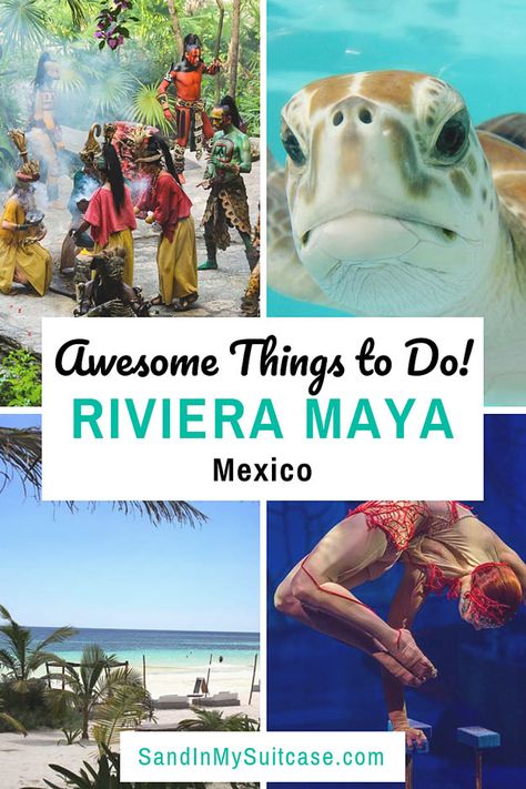 There are so many fabulous things to do in Riviera Maya! Number 1? Swim in a cenote. Also explore the ruins of Tulum. And more! #RivieraMaya #MayanRiviera #Mexico #excursions #tours #snorkeling #cenote #Joya Cancun Excursions, Mexico Excursions, Mexico Beaches, Tulum Ruins, Mexico Travel Guides, Mexico Travel Destinations, Travel Mexico, Mayan Riviera, Riviera Maya Mexico