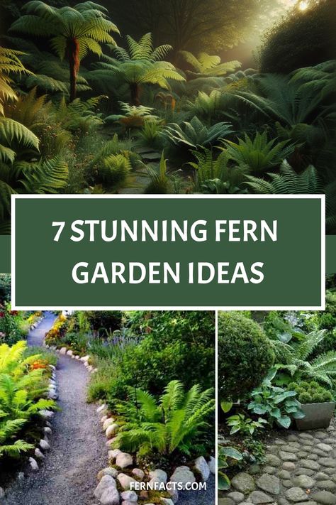 Lush fern garden with a variety of ferns and a winding stone path, promoting 7 stunning garden ideas from fernfacts.com. Fern House Ideas, Garden Ferns Ideas, Tropical Fern Garden, Ferns In Garden Beds, Australian Fern Garden, Fernery Ideas Design Shade Garden, Fern Garden Bed, Fern Landscaping Ideas, Fern Garden Ideas Landscaping