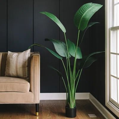 Artificial & Fake Plants You'll Love Plant For Living Room, Large Fake Plants, Tall Fake Plants, Ceramic Apple, Artificial Birds, Living Room Plants, Ceiling Fan Design, Floor Plants, Palm Plant