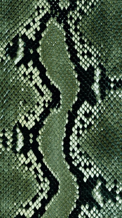 Snakeskin Wallpaper Phone, Green Snakes Aesthetic, Snake Skin Aesthetic, Green Snake Wallpaper, Green Snake Aesthetic, Serpent Wallpaper, Snakes Aesthetic, Snake Aesthetic, Animal Texture