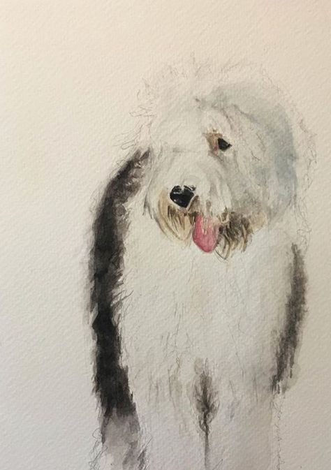 ABSOLUTELY FABULOUS! ✳️ Sheep Dog Drawing, Tibet Terrier, Sheep Dogs, Custom Pet Art, English Sheepdog, Old English Sheepdog, 수채화 그림, Watercolor Dog, Paintings I Love