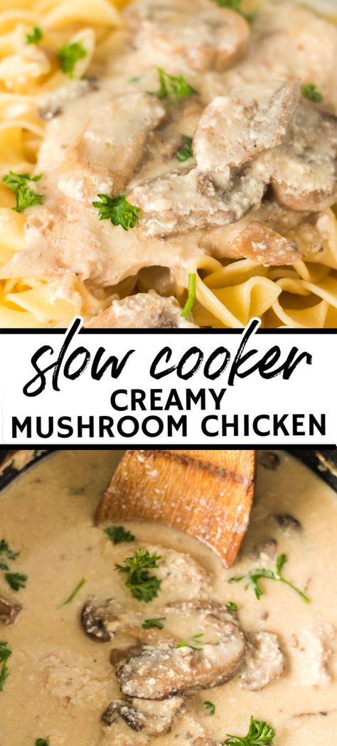 Creamy Mushroom Chicken And Rice Soup, Crock Pot Recipes With Mushrooms, Mushroom Chicken Noodles, Crockpot Rice And Gravy, Cream Mushroom Chicken Crockpot, Crockpot Chicken Recipes With Mushrooms, Crock Pot Mushroom Recipes, Creamy Parmesan Garlic Mushroom Chicken Crockpot, Slow Cooker Chicken With Cream Of Mushroom Soup