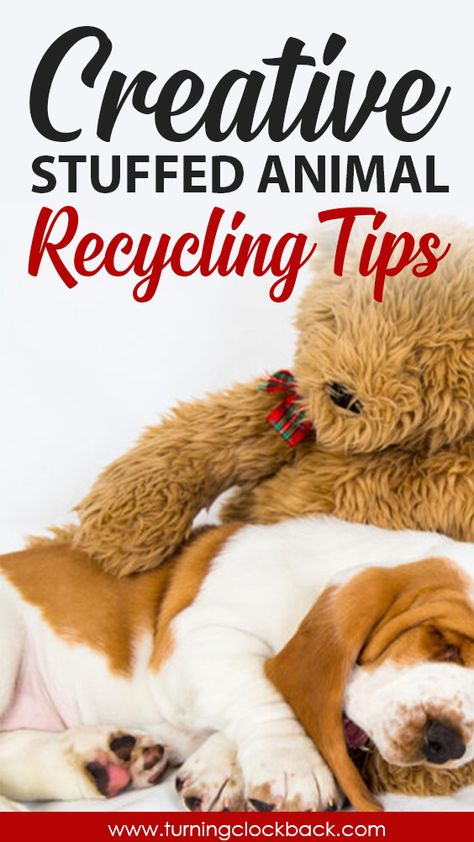 Do your kids have too many stuffed animals? Want to declutter your child's bedroom but don't want to throw them away? Responsible toy disposal and recycling can be challenging. Keep reading for a few creative decluttering tips and stuffed animal recycling ideas! #declutteringtips #recyclingtips #greenliving #minimalism Stuffed Animal Repurpose, Repurposed Stuffed Animals, Recycled Stuffed Animals, What To Do With Old Stuffed Animals, What To Do With Stuffed Animals, Diy Old Toys, Old Stuffed Animals, How To Wash Throw Pillows, Upcycle Toys