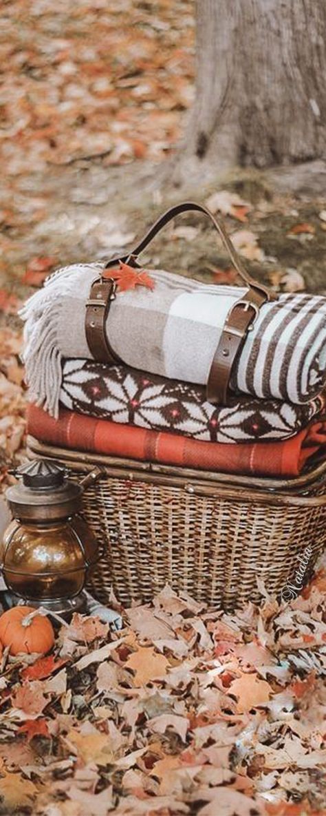 Autumn Picnic Autumn Cabin, Autumn Picnic, Autumn Country, Country Picnic, Autumn Beauty, Autumn Season, Autumn Theme, Picnic Basket, Fall Season