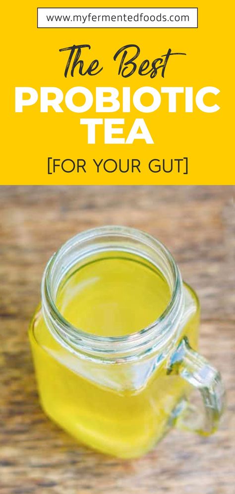 Probiotic tea refers to a beverage that possesses probiotic properties. Kombucha tea is a popular probiotic tea that can help you derive multiple health benefits. It can provide relief from stomach upsets, constipation, and indigestion in a safe and effective way. Let’s see the best probiotic tea for your gut. . . . #MyFermentedFoods #Tea #KombuchaTea #FermentedDrinks #Probiotic #Fermentation #Fermenting #Kombucha #ProbioticDrink #HomeBrew #Brewing Homemade Probiotic Drink, Probiotic Drinks Products, Diy Probiotic Drink, Probiotic Drink Recipes, Probiotic Smoothie Recipes, Homemade Electrolytes, Crohns Diet, Probiotic Food, Probiotics For Women