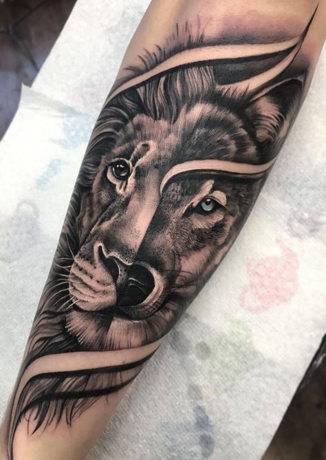 10+ Best Lion and Wolf Tattoo Ideas | PetPress Lion And Wolf Tattoo, Wolf Tattoos For Women, Wolf Tattoo Back, Wolf Tattoo Ideas, Lion Tattoo Sleeves, Wolf Tattoo Sleeve, Lion Head Tattoos, Tattoo Shirt, Forarm Tattoos