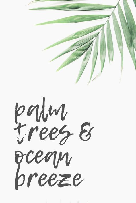 Boutique Quotes, Tropical Quotes, Travel Inspiration Quotes, Beachy Quotes, Beach Sayings, Travel Motivation, Vacation Quotes, Summer Party Decorations, Happy Birthday Template