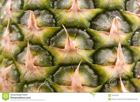 Pineapple Texture, Pineapple Photography, Pineapple Plant, Tessellation Patterns, Pineapple Planting, Food Texture, Texture Drawing, Photo Pattern, Texture Photography