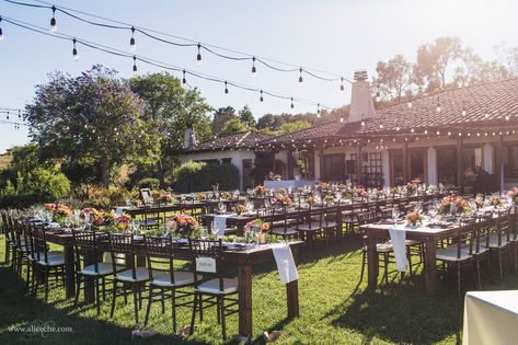 Vibrant wedding at Casitas Estate | San Luis Obispo Wedding | The Casitas Estate Vibrant Wedding, Garden Estate, San Luis Obispo Wedding, Garden Party Wedding, San Fran, Estate Wedding, San Luis Obispo, Rose Garden, A Rose