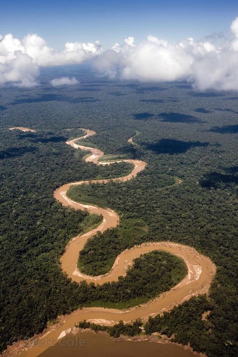 Madre De Dios Basin, Peruvian Amazon Amazon Birds, Peruvian Amazon, Amazon River, Amazon Rainforest, Birds Eye View, Birds Eye, Natural Wonders, Beautiful Landscapes, South America