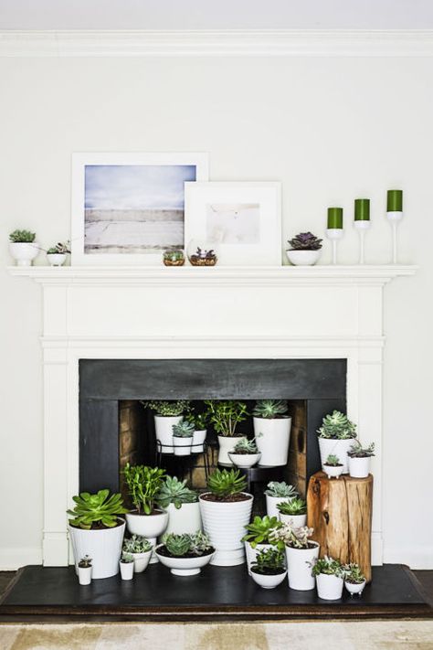 An empty hearth comes alive with an indoor garden. Arrange an array of mismatched pots, in many shapes and sizes, filled with hearty (and low-maintenance!) succulents or ferns. Empty Fireplace Ideas, Fireplace Styling, Unused Fireplace, Design Camino, Contemporary Fireplace, Faux Fireplace, Corner Fireplace, Fireplace Makeover, Modern Fireplace