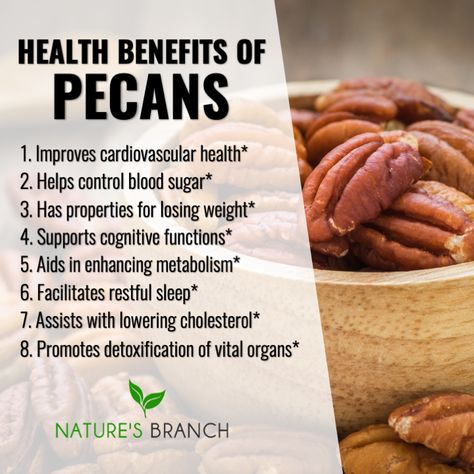 HEALTH BENEFITS OF PECANS Impeccable "Pecans" are not only great with pastry and a good snack. It also offer great health benefits. You'll love its aroma and taste. 😉 #pecans #nuts #healthawareness #healthylifestyle #health #healthy #healthbenefits #healthtips #naturesbranch Pecan Health Benefits, Health Benefits Of Pecans, Pecan Nuts Benefits, Pecans Benefits, Pecan Benefits, Benefits Of Pecans, Nuts Health Benefits, Food Healing, Hugh Masekela