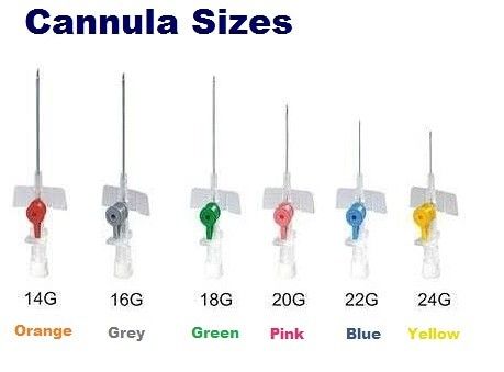 Different size of cannula Iv Cannula Size And Color, Cannula Sizes, Iv Cannula, Phlebotomy Study, Nurse Skills, Nursing School Inspiration, Medical Assistant Student, Medical School Life, Basic Anatomy And Physiology