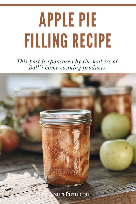 Making Delicious Apple Pie Filling With Ball® home canning Canning Apple Pie Filling, Apple Pie Filling Recipe, Canning Apples, Apple Pie Filling Recipes, Ball Canning, Pie Filling Recipes, Mini Apple Pies, Apple Pie Filling, Cranberry Cookies